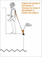 COBRA 2 Self Retracting 2M Length Webbing Fall Arrest Block 2074 